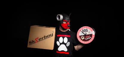 Sk8erboy® promotional flyer