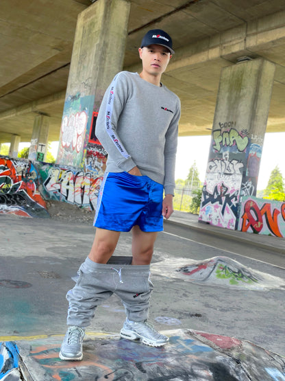 Sk8erboy® Shiny Boxershorts royalblau