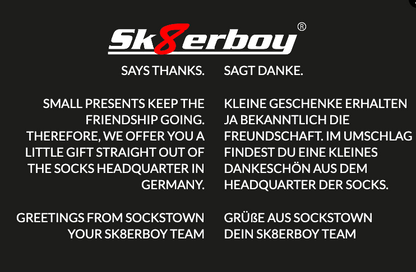 Sk8erboy® promotional flyer