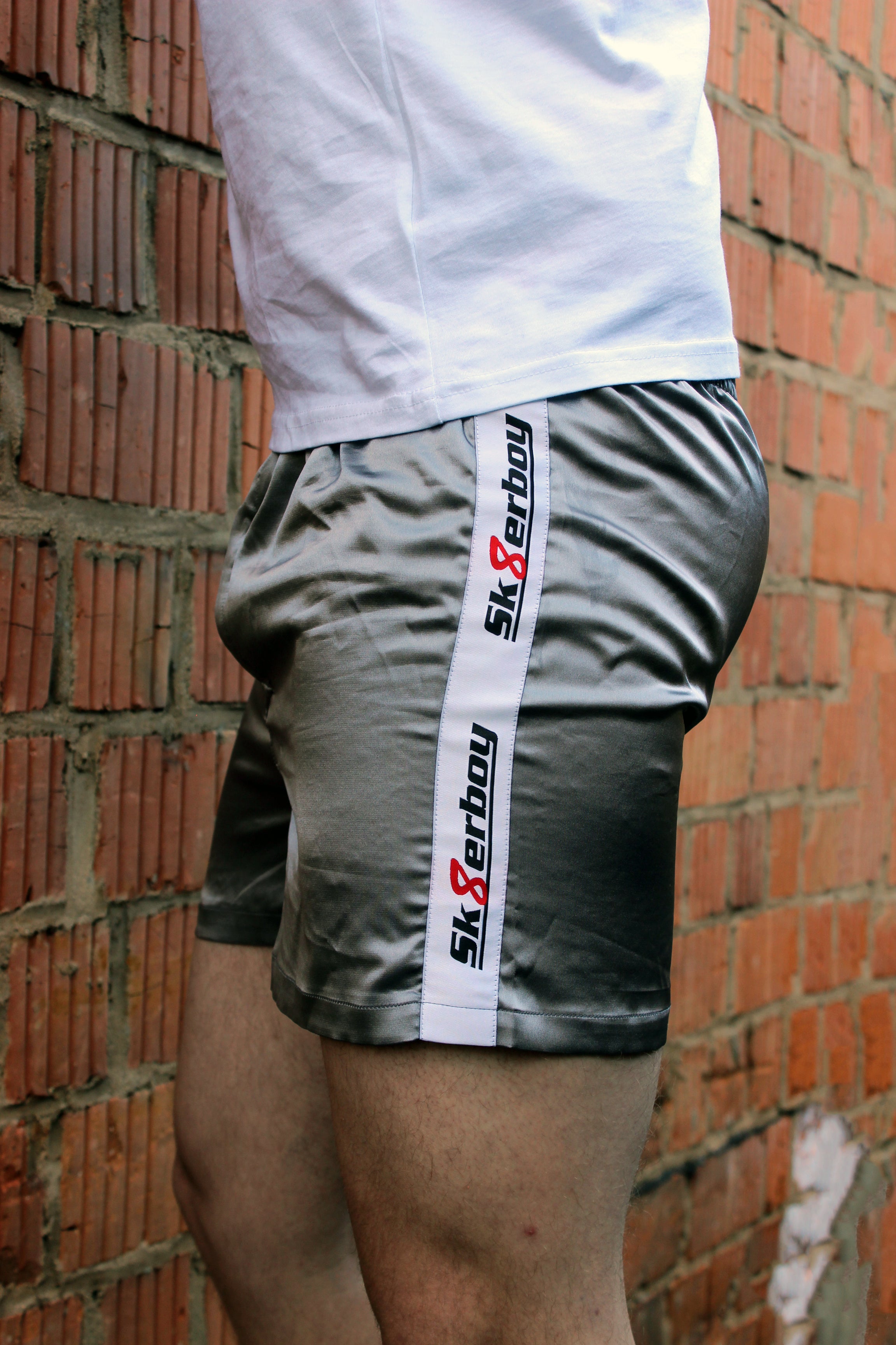 Shiny boxer shorts silver | Underwear | Sk8erboy®